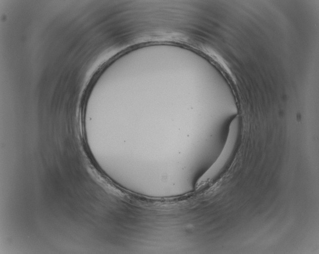 X0000078271080200612011713