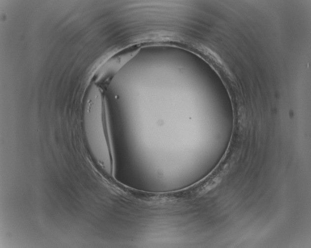 X0000078271081200612011713