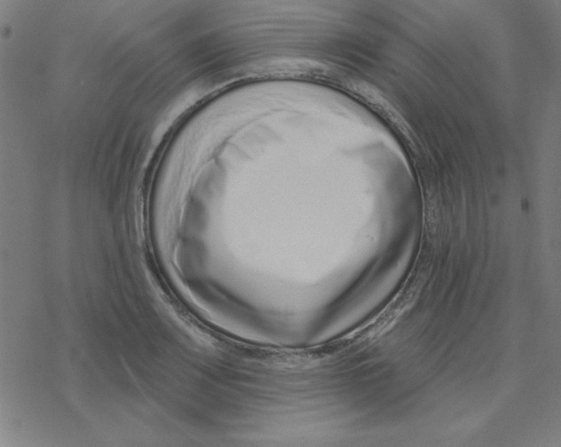 X0000078271083200612011713