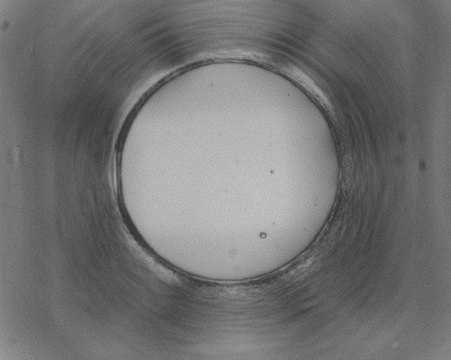 X0000078271084200612011713