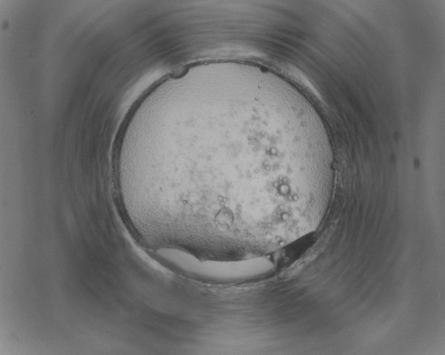 X0000078271087200612011713