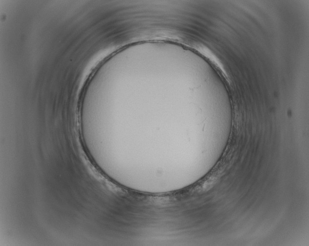 X0000078271088200612011713