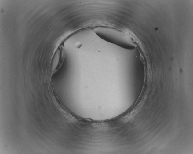 X0000078271089200612011713