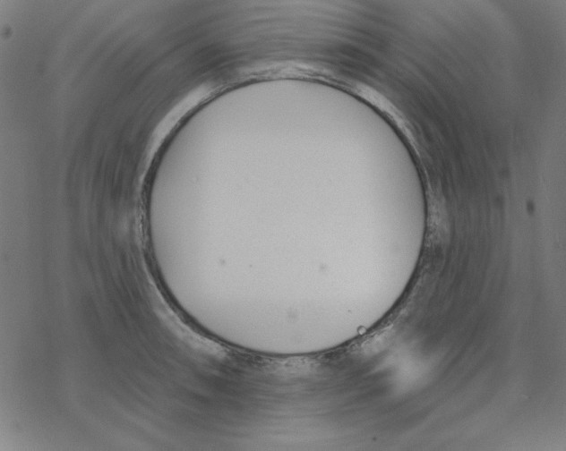 X0000078271090200612011713