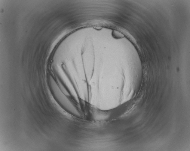 X0000078271091200612011713