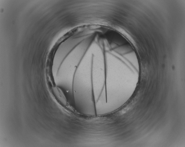 X0000078271093200612011713