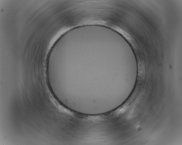 X0000078271094200612011713