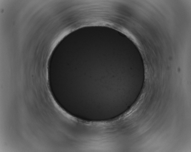 X0000078271095200612011713