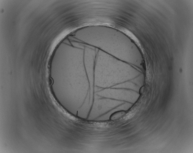 X0000078271096200612011713