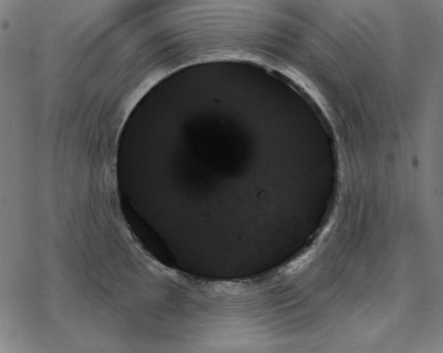 X0000078271097200612011713