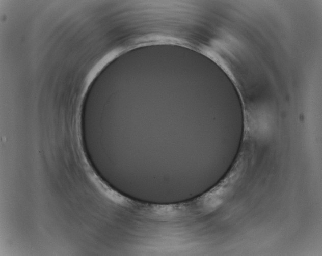 X0000078271098200612011713