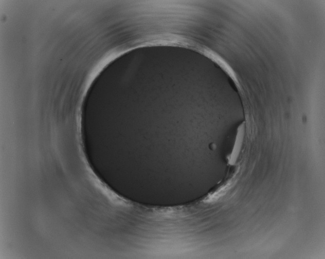 X0000078271099200612011713