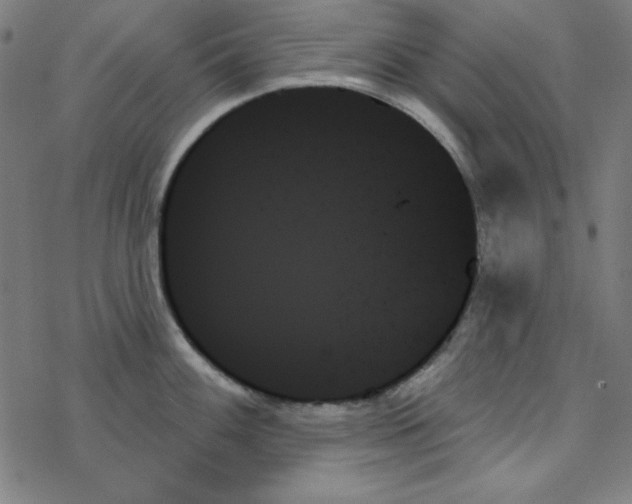 X0000078271100200612011713