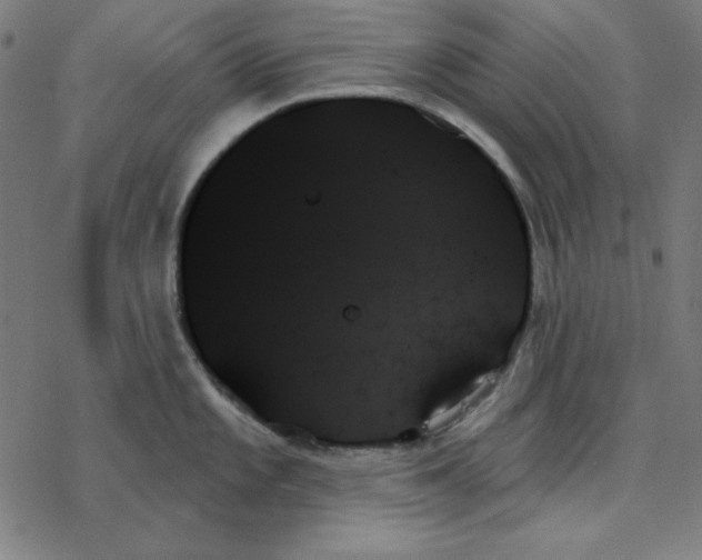 X0000078271101200612011713