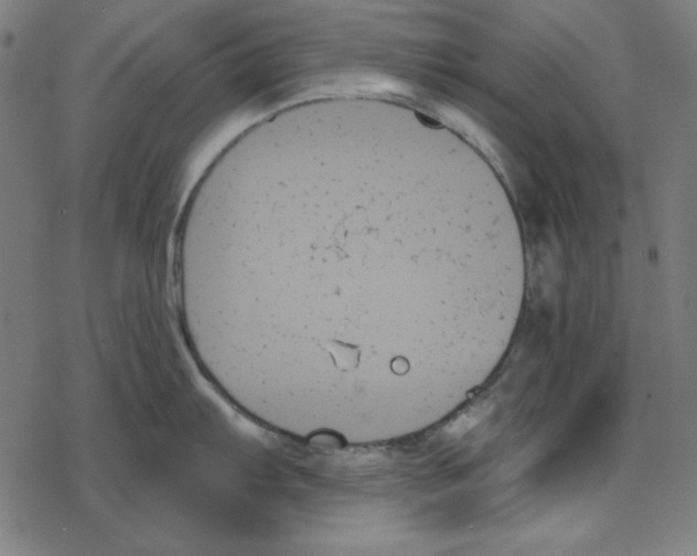 X0000078271103200612011713