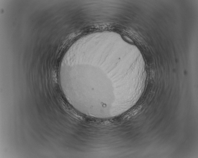 X0000078271106200612011712