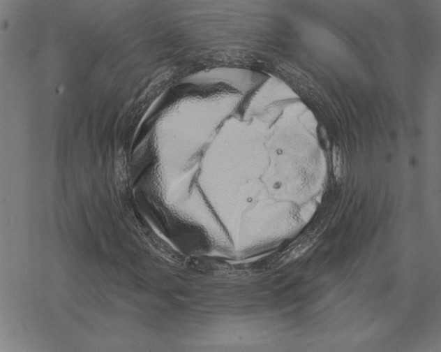 X0000078271107200612011712