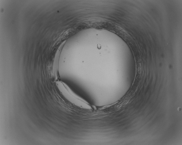 X0000078271108200612011712