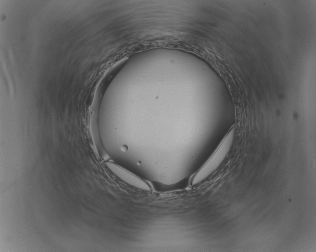 X0000078271109200612011712