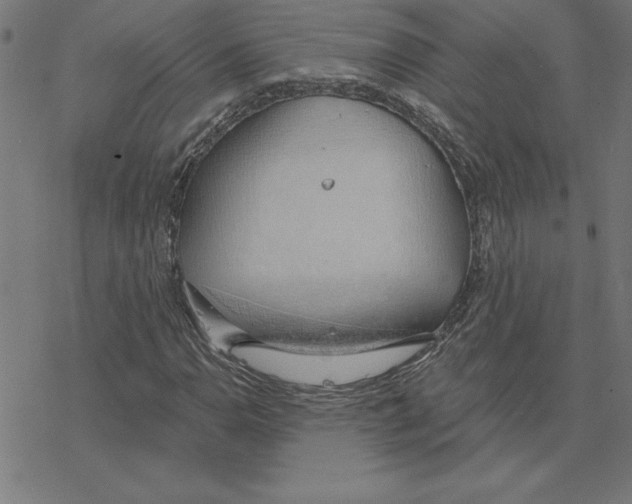 X0000078271110200612011712