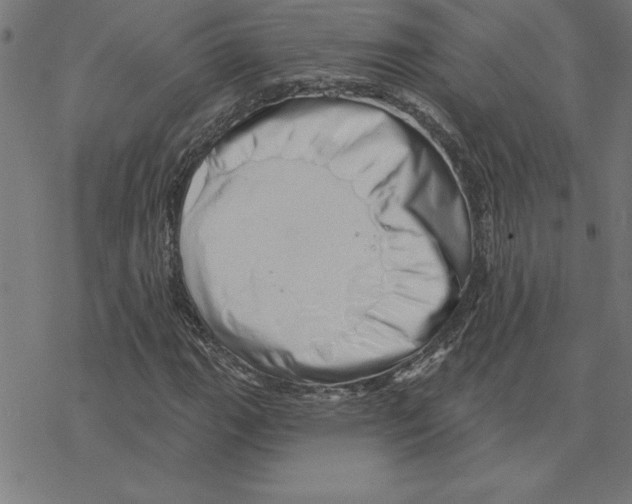 X0000078271111200612011712