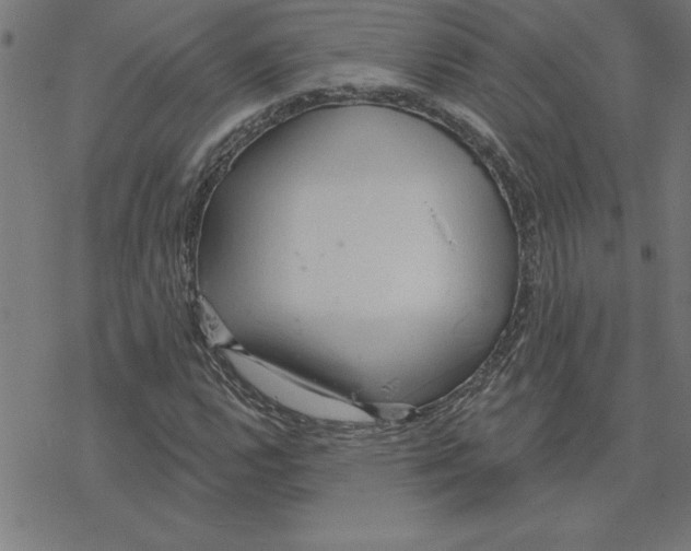 X0000078271112200612011712