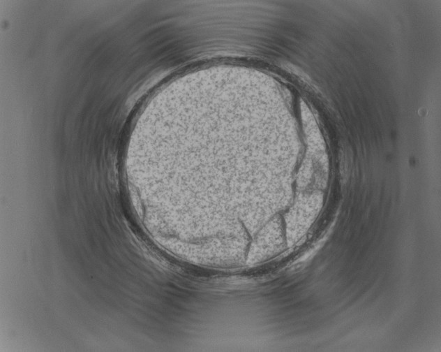 X0000078271113200612011712