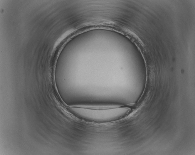 X0000078271114200612011712