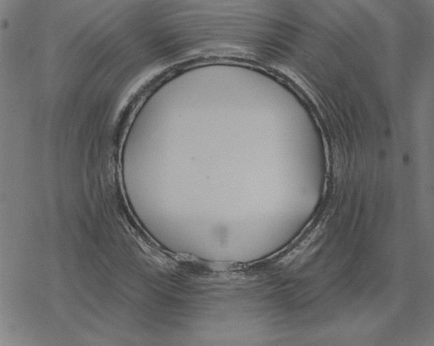 X0000078271115200612011712