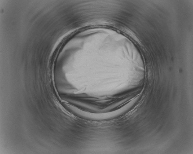 X0000078271116200612011712