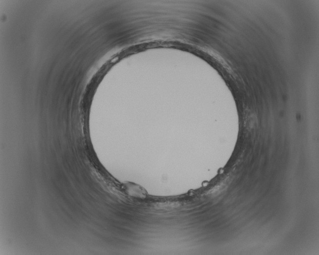 X0000078271118200612011712