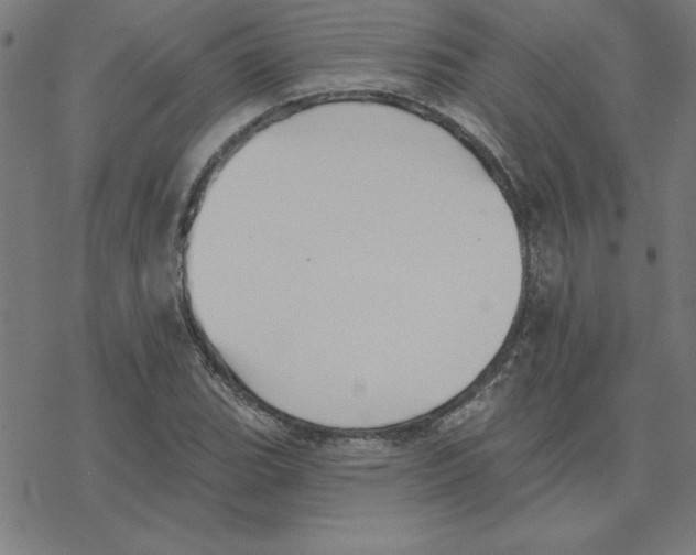 X0000078271119200612011712