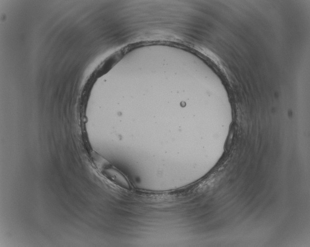 X0000078271120200612011712