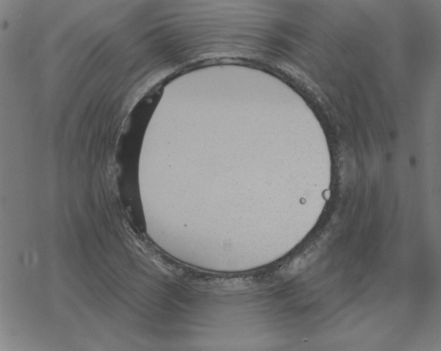 X0000078271121200612011712