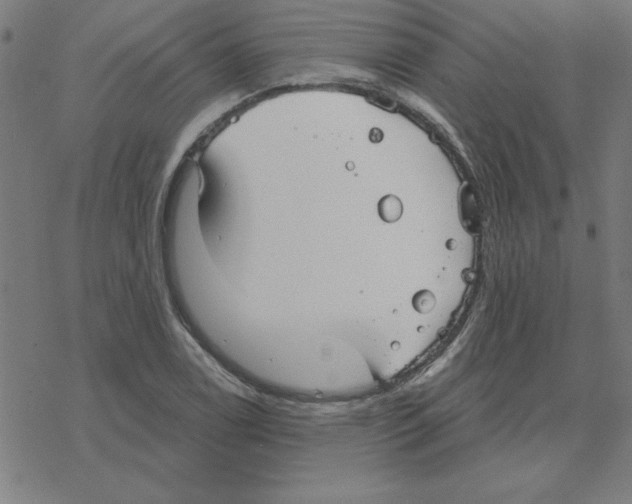 X0000078271122200612011712