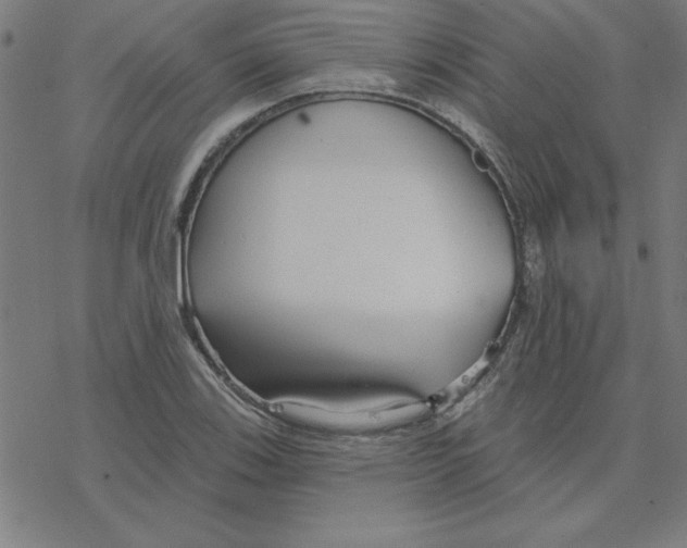 X0000078271123200612011712