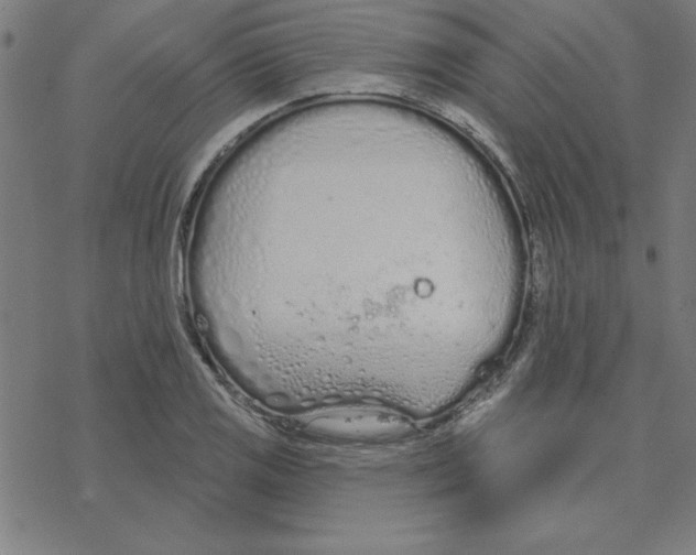 X0000078271125200612011712