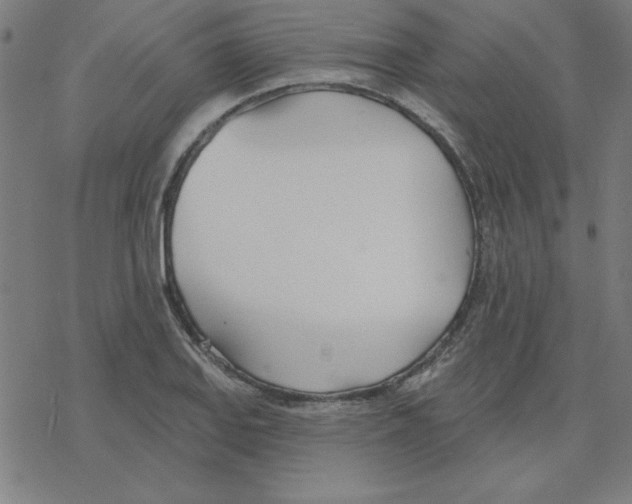 X0000078271127200612011712