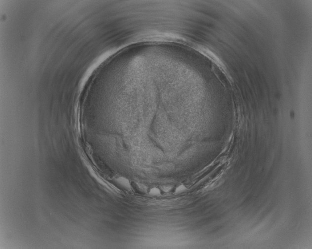 X0000078271128200612011712