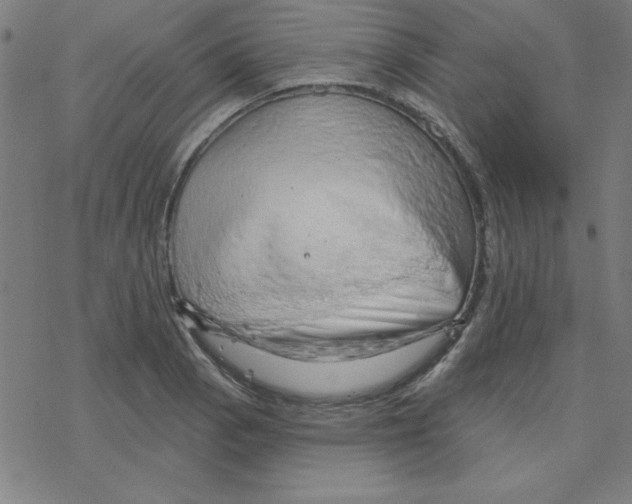 X0000078271129200612011713