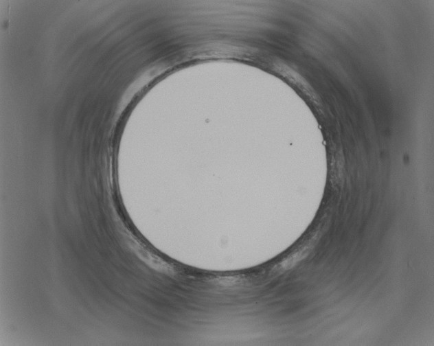 X0000078271130200612011713