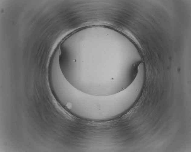 X0000078271132200612011713