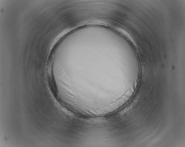 X0000078271133200612011713