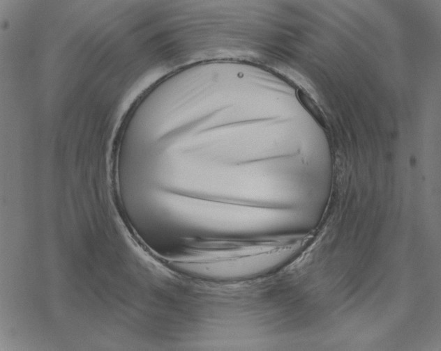 X0000078271135200612011713