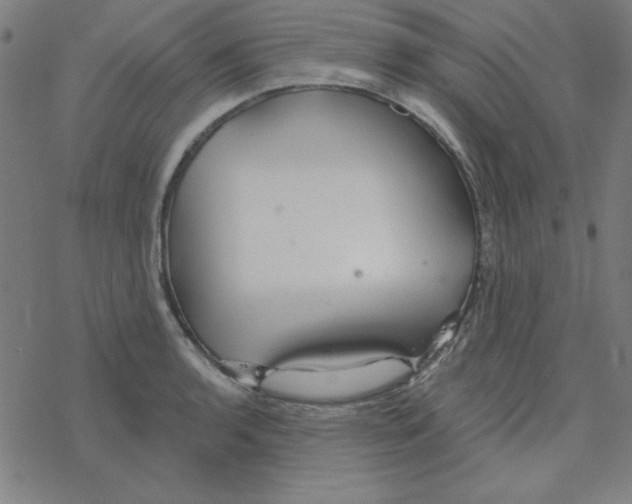 X0000078271136200612011713