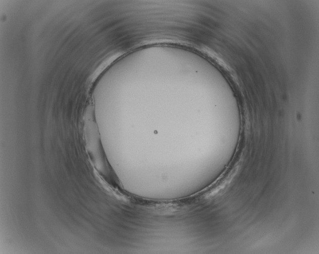 X0000078271137200612011713