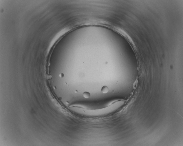 X0000078271138200612011713