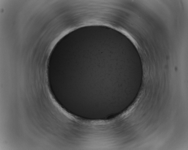 X0000078271142200612011713