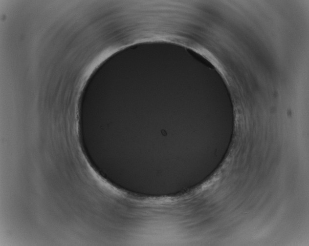 X0000078271143200612011713