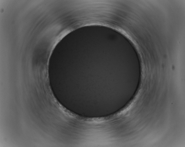 X0000078271145200612011713